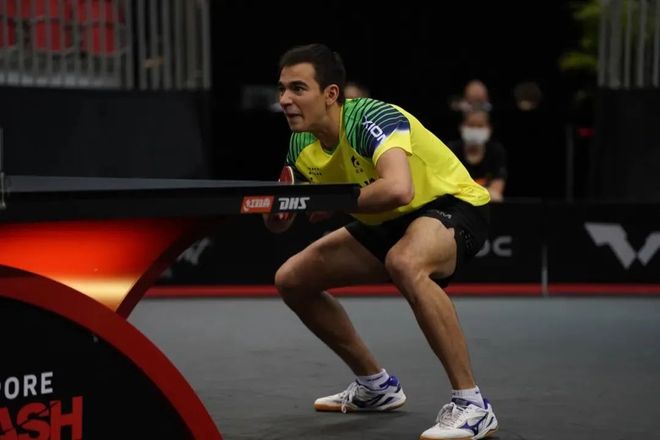 诺克斯的加 诺克斯的加