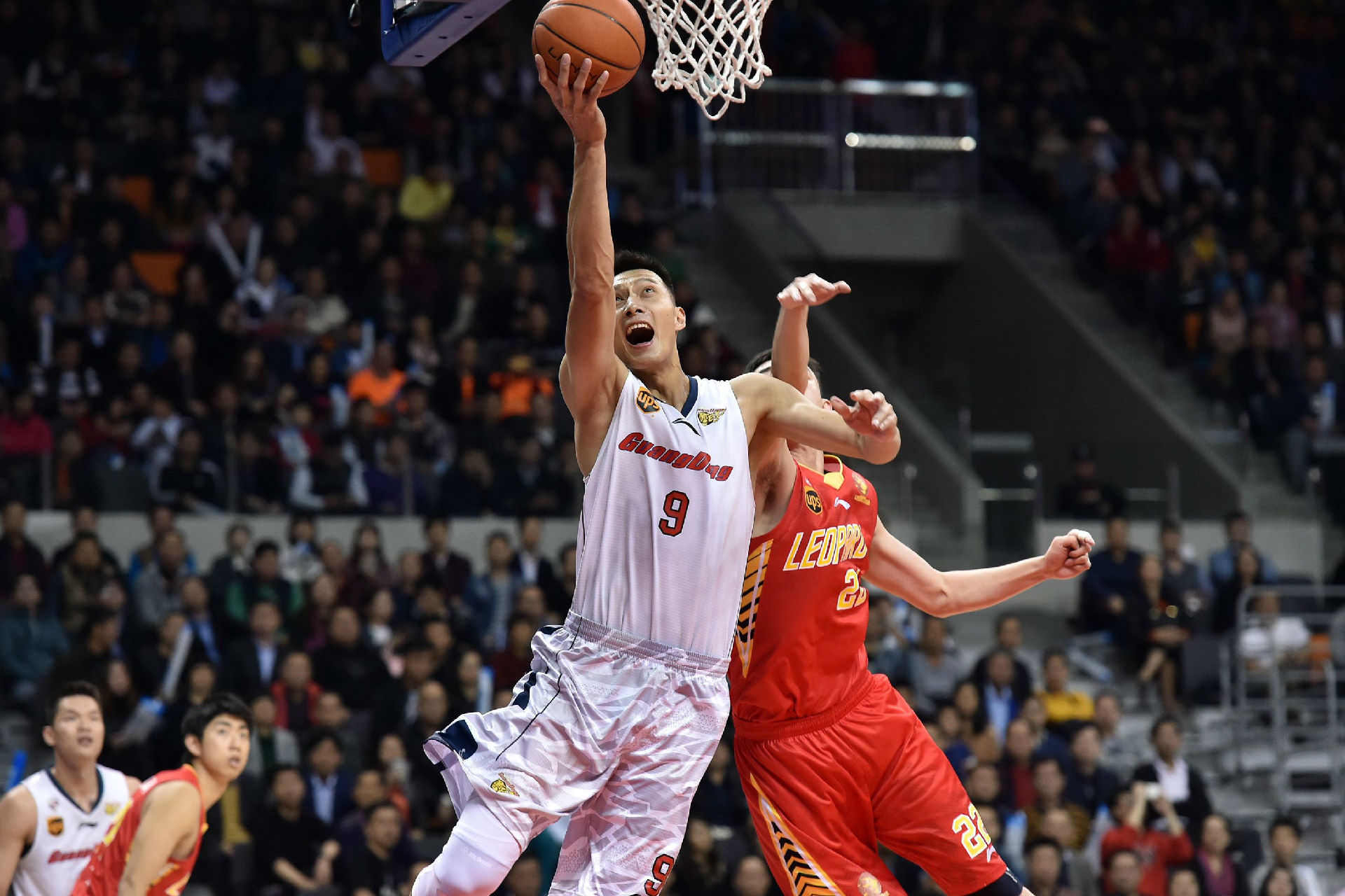 球迷的口头 球迷的口头