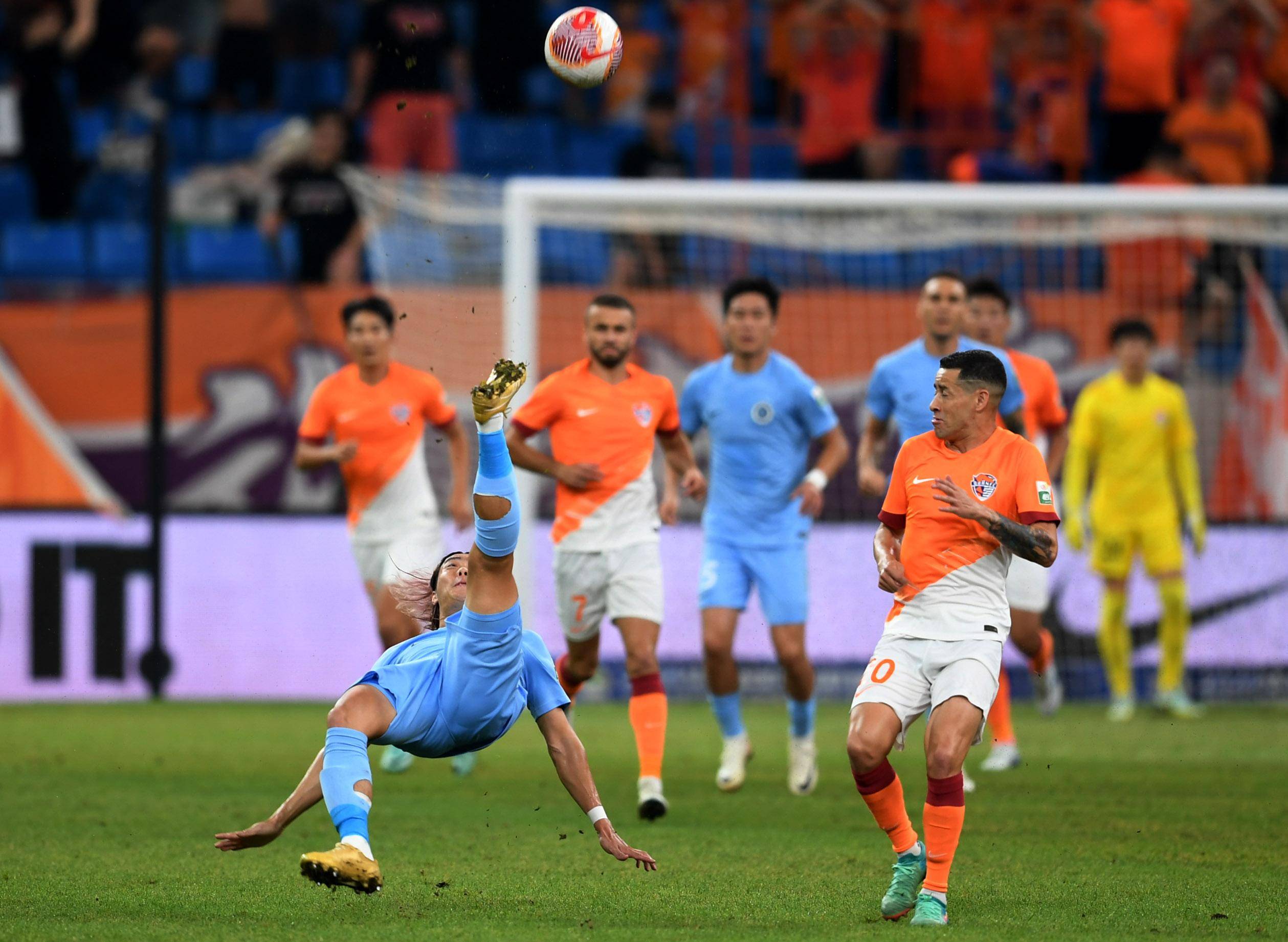 到了森林求 到了森林求