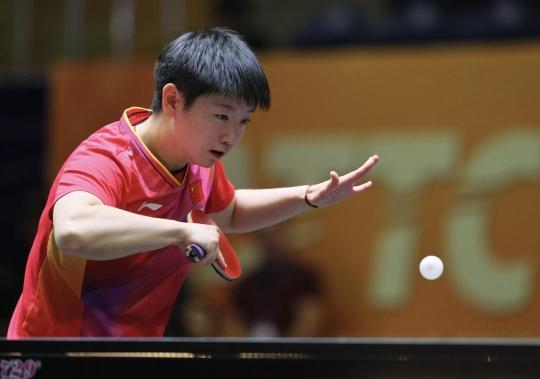 佩里西奇的 佩里西奇的