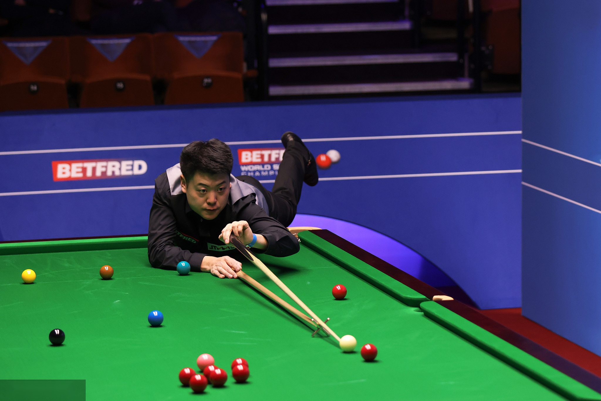 塞鸟正是凭 塞鸟正是凭